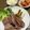 chaーki's cooksnap of when they made 牛ステーキ肉の柔らかい焼き方完全版.