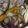 クック2H9MD0☆'s cooksnap of when they made 蒸籠☆野菜蒸し.