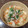 料理苦手お母さん's cooksnap of when they made 豆腐のとろとろ煮.