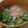 のーべる's cooksnap of when they made ピーマンのお浸し.
