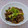 まこさんど's cooksnap of when they made 【農家のレシピ】牛肉ときのこの旨煮.