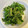 yu228's cooksnap of when they made まるごと○菜の花のゴマ和え.