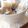 もすろー's cooksnap of when they made 簡単！つぶ貝の炊き込みご飯♪.