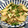 ☆のん☆☆'s cooksnap of when they made ツナと大根の炒め煮.
