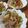ともみち☆'s cooksnap of when they made キャベツと豚肉のザーサイ炒め.