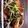 クックNVMERR☆'s cooksnap of when they made 余ったお刺身で！ぶりの竜田揚げ.