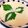 かよぐま's cooksnap of when they made 普段の茶碗蒸し.