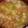 ヨシヨッシー's cooksnap of when they made なめこと豆富・長ネギの味噌汁.
