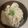 犬飼ってる's cooksnap of when they made 豚しゃぶネギ塩丼.