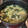 gemellini's cooksnap of when they made 簡単ver.レタス中華スープ.