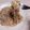 アクセル☆'s cooksnap of when they made レンジで簡単♪長ネギツナのねりごまパスタ.