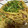 べびちゃん★'s cooksnap of when they made 簡単！ひき肉とネギで油そば風☆やきそば.
