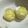 まりるちゃん♪'s cooksnap of when they made レンジでふかし芋.