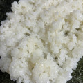 sacchiino's cooksnap of when they made 巻き寿司！簡単！酢飯.