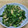 クックXU0CVJ☆'s cooksnap of when they made めんつゆde大根葉と油揚げの煮物.