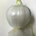 みぽりんちゃん's cooksnap of when they made 裏技！玉ねぎの皮を剥きやすくする方法.