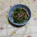 くネコまろす's cooksnap of when they made カニカマとおかひじきの炒め物.