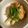 かんじきんぐ's cooksnap of when they made しっとり柔らか　鶏むね肉のおろしポン酢煮.