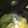 あーりータイムズ's cooksnap of when they made ☆☆湯豆腐と水炊きの間のお鍋★★.
