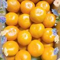 ☆なあなクック☆'s cooksnap of when they made 箱買い♬みかんの保存方法.