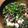 COCO&Mo-'s cooksnap of when they made ニラ大量消費！ニラ豆腐炒め.