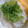 ミロ9607's cooksnap of when they made ☆炊飯機で簡単中華粥☆☆☆.
