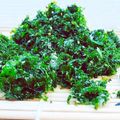 horseland's cooksnap of when they made アオサのり乾燥保存.