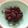 ☆彡TOMOMINT's cooksnap of when they made 節分豆バレンタインにアマンドショコラ風　.