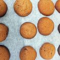 クック3N0VKO☆'s cooksnap of when they made サクサク丸いココアチョコチップクッキー！.