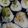 さいだぁ≡'s cooksnap of when they made ネギトロ丼－安いマグロでもＯＫ！.