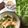 クック☆Zoo's cooksnap of when they made 生姜でポカポカ！とろ〜り白菜卵スープ.