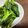 クックBWZVK1☆'s cooksnap of when they made *簡単★シンプル♪小松菜のにんにく炒め*.