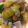 クック2H9MD0☆'s cooksnap of when they made 簡単♪︎チキンと夏野菜のラタトゥイユ♡.