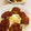 さんちゃん（╹◡╹）'s cooksnap of when they made 群馬風♪簡単で本格的！ソースカツ丼.