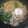 ミロ9607's cooksnap of when they made 鍋焼うどん　簡単　めんつゆで.