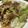 ぐりとぐらの姉's cooksnap of when they made 簡単もんじゃ焼き.