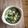みるく茶's cooksnap of when they made 塩麹と豆腐のミックスサラダ.