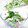 Satoco❋'s cooksnap of when they made ささみと明太子の大葉マヨ和え.