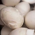 ひちゃ丸's cooksnap of when they made 簡単！失敗なしのとろ〜り半熟卵の作り方！.