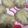 YU♡CO's cooksnap of when they made コラーゲンたっぷり！簡単にできる小龍包.