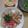 2児ママみきてぃ's cooksnap of when they made 超簡単!!トントロ丼(豚とろ丼).