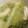 ブランシュkuu's cooksnap of when they made 春キャベツと油揚げの＊簡単煮＊.