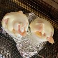 yu🐓's cooksnap of when they made ゆで卵おつまみ鮭マヨチーズ♬お弁当にも.