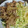 とろけい's cooksnap of when they made 定食屋風！豚コマの生姜焼き.