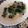 森くまママ's cooksnap of when they made 簡単♪ほうれん草とベーコンの豆乳スープ.