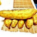 tomitomico's cooksnap of when they made ヘルシオで簡単★さつまいもの絶品蒸し.
