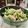 Superlittleboo's cooksnap of when they made 鶏ささみとインゲン豆の胡麻和え♪.
