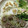 ♡MINE♡'s cooksnap of when they made おうち居酒屋ハツの柔らかネギ塩だれ炒め.