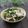 まろんかふぇ's cooksnap of when they made 生で味わう春菊とマッシュルームのサラダ。.
