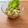 Etsu☆ko's cooksnap of when they made ごはんのお供に☆いか納豆.